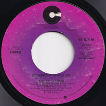 Load image into Gallery viewer, Sister Sledge - He&#39;s The Greatest Dancer / Somebody Loves Me (7 inch Record / Used)
