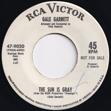 Load image into Gallery viewer, Gale Garnett - I Make Him Fly / The Sun Is Gray (7 inch Record / Used)
