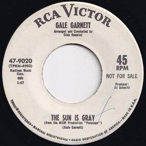 Gale Garnett - I Make Him Fly / The Sun Is Gray (7 inch Record / Used)