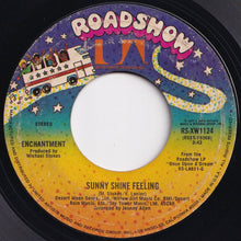 Load image into Gallery viewer, Enchantment - Sunny Shine Feeling / It&#39;s You That I Need (7 inch Record / Used)
