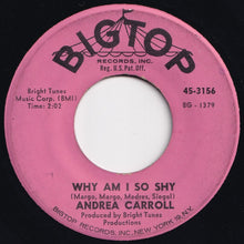 Load image into Gallery viewer, Andrea Carroll - It Hurts To Be Sixteen / Why Am I So Shy (7 inch Record / Used)
