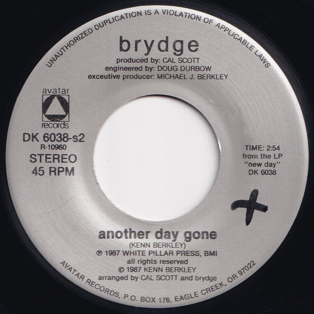 Brydge - Passed Up A Chance / Another Day Gone (7 inch Record / Used)