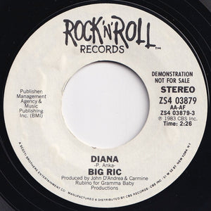 Big Ric - Diana / Diana (7 inch Record / Used)