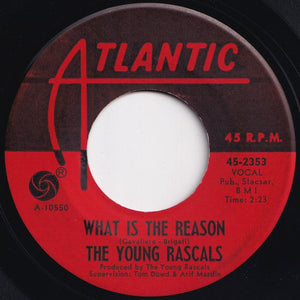 Young Rascals - Come On Up / What Is The Reason (7 inch Record / Used)