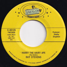 画像をギャラリービューアに読み込む, Ray Stevens - Ahab, The Arab / Harry The Hairy Ape (7 inch Record / Used)
