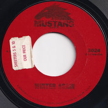 Load image into Gallery viewer, Felice Taylor - It May Be Winter Outside (But In My Heart It&#39;s Spring) / Winter Again (7 inch Record / Used)
