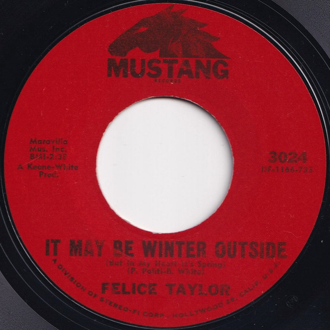 Felice Taylor - It May Be Winter Outside (But In My Heart It's Spring) / Winter Again (7 inch Record / Used)