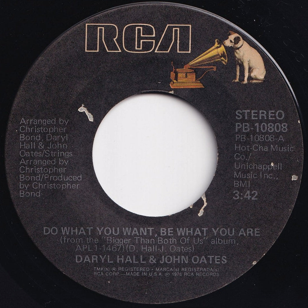 Daryl Hall & John Oates - Do What You Want, Be What You Are / You'll Never Learn (7 inch Record / Used)