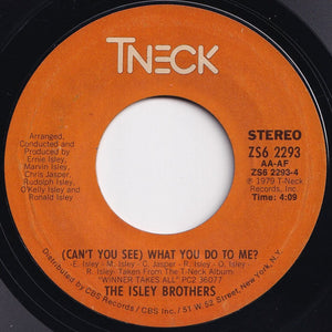 Isley Brothers - Who Said? / (Can't You See) What You Do To Me? (7 inch Record / Used)