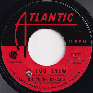 Young Rascals - I've Been Lonely Too Long / If You Knew (7 inch Record / Used)