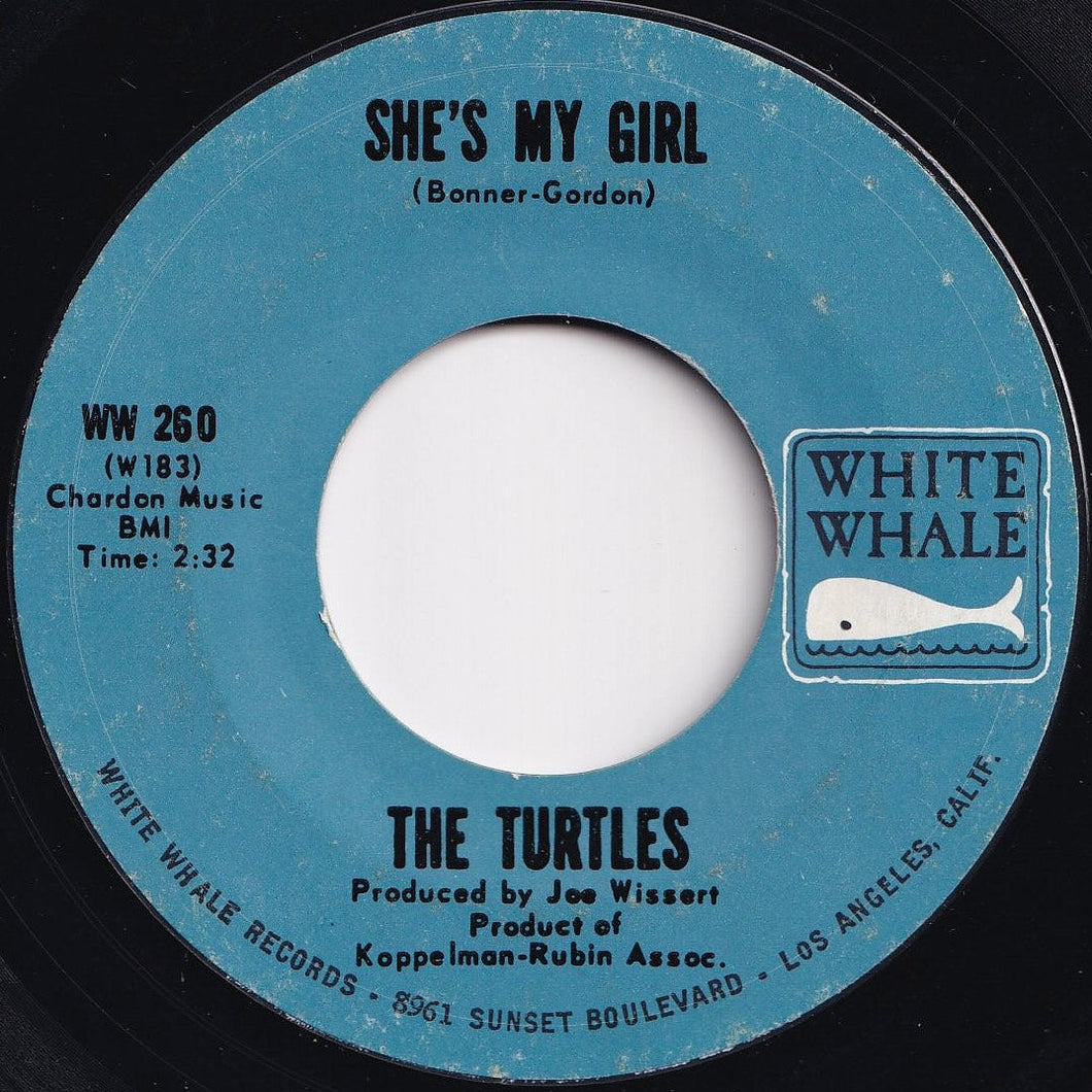 Turtles - She's My Girl! / Chicken Little Was Right (7 inch Record / Used)