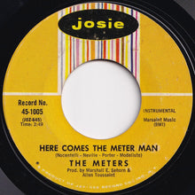 画像をギャラリービューアに読み込む, Meters - Cissy Strut / Here Comes The Meter Man (7 inch Record / Used)
