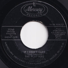 画像をギャラリービューアに読み込む, Platters - If I Didn&#39;t Care / True Lover (7 inch Record / Used)
