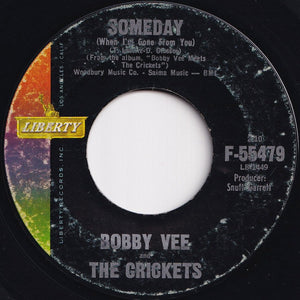 Bobby Vee - Punish Her / Someday (7 inch Record / Used)