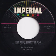 Load image into Gallery viewer, Fats Domino - Tell Me That You Love Me / Before I Grow Too Old (7 inch Record / Used)
