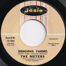 Load image into Gallery viewer, Meters - Sophisticated Cissy / Sehorns Farms (7 inch Record / Used)
