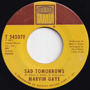 Marvin Gaye - Mercy Mercy Me (The Ecology) / Sad Tomorrows (7 inch Record / Used)