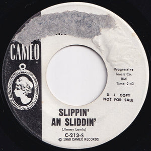 Carroll Brothers - Bo Diddely / Slippin' An Sliddin' (7 inch Record / Used)