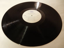 画像をギャラリービューアに読み込む, Joe Williams - Sing Along With Basie (LP-Vinyl Record/Used)
