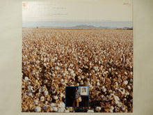 画像をギャラリービューアに読み込む, Marion Brown - November Cotton Flower (LP-Vinyl Record/Used)
