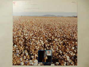 Marion Brown - November Cotton Flower (LP-Vinyl Record/Used)